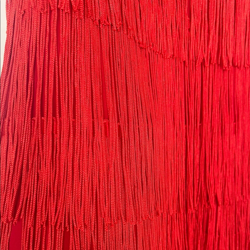 Elegant Red Fringe Dress - Picture 2 of 3